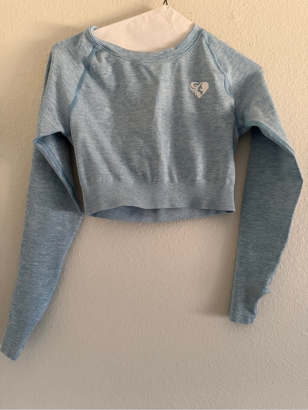 Womens Best Blue Cropped Active Top Long Sleeve Crew Neck Stretch